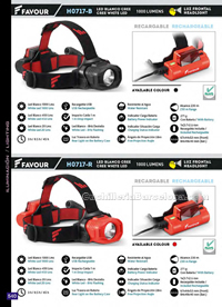 LUZ FRONTAL 03 Favour
